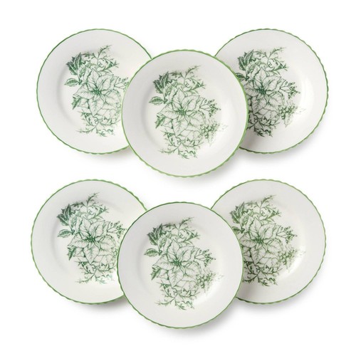 Set winter evergreen - set, 6